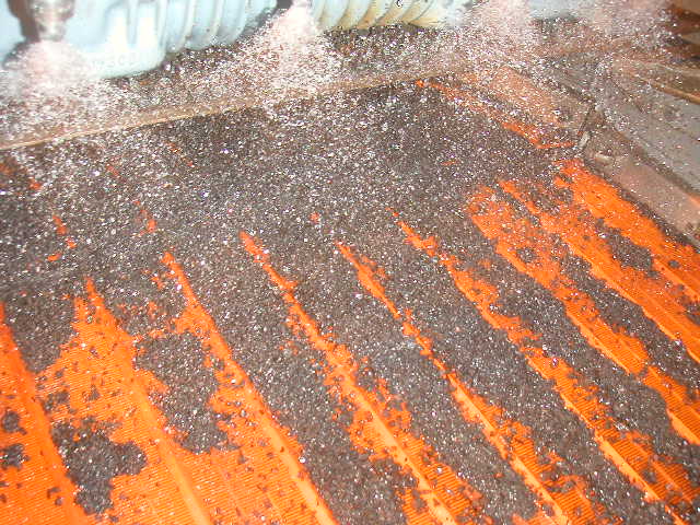 PICT0087.JPG